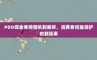PDD现金券赔偿机制解析，消费者权益保护的新探索
