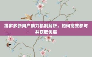 拼多多新用户助力机制解析，如何高效参与并获取优惠