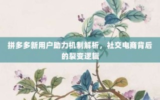 拼多多新用户助力机制解析，社交电商背后的裂变逻辑