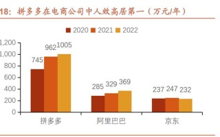 互联网时代下，拼多多互助力结果的机遇与挑战分析？