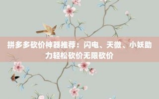 拼多多砍价神器推荐：闪电、天微、小妖助力轻松砍价无限砍价