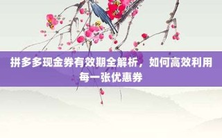 拼多多现金券有效期全解析，如何高效利用每一张优惠券