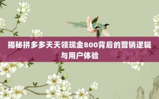 揭秘拼多多天天领现金800背后的营销逻辑与用户体验