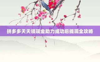 拼多多天天领现金助力成功后提现全攻略
