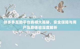 拼多多互助平台真相大揭秘，安全保障与用户互助体验深度解析