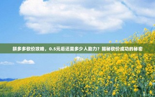 拼多多砍价攻略，0.5元后还需多少人助力？揭秘砍价成功的秘密