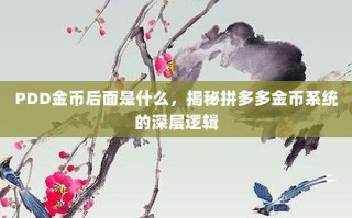 PDD金币后面是什么，揭秘拼多多金币系统的深层逻辑