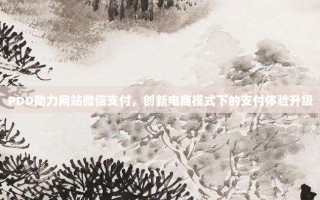 PDD助力网站微信支付，创新电商模式下的支付体验升级