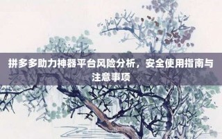 拼多多助力神器平台风险分析，安全使用指南与注意事项