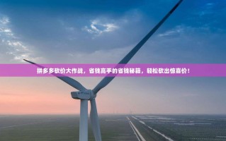 拼多多砍价大作战，省钱高手的省钱秘籍，轻松砍出惊喜价！