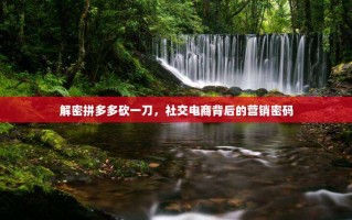 解密拼多多砍一刀，社交电商背后的营销密码