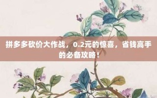 拼多多砍价大作战，0.2元的惊喜，省钱高手的必备攻略！