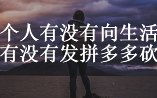 拼多多砍价野路子年赚10万，付费互助群竟藏赚钱密码
