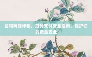 警惕网络诈骗，扫码支付安全指南，保护你的资金安全