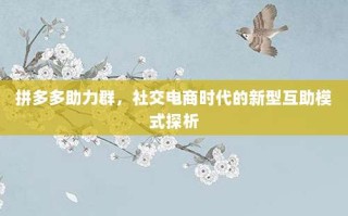 拼多多助力群，社交电商时代的新型互助模式探析
