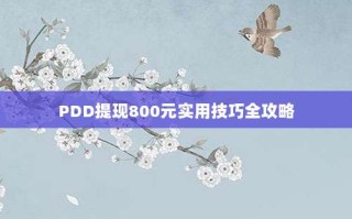 PDD提现800元实用技巧全攻略