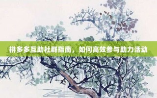 拼多多互助社群指南，如何高效参与助力活动