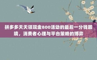 拼多多天天领现金800活动的最后一分钱困境，消费者心理与平台策略的博弈