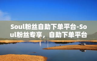 Soul粉丝自助下单平台：一站式偶像周边购买与活动参与指南