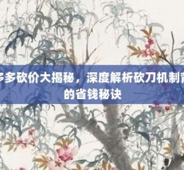 拼多多砍价大揭秘，深度解析砍刀机制背后的省钱秘诀
