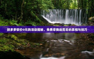 拼多多砍价0元购活动揭秘，免费拿商品背后的真相与技巧