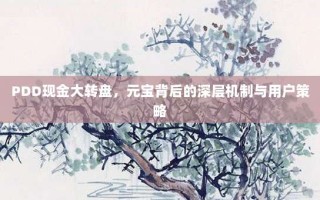 PDD现金大转盘，元宝背后的深层机制与用户策略