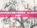 拼多多互助交流群火热招募中，加入我们共同成长！