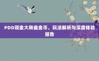 PDD现金大转盘金币，玩法解析与深度体验报告