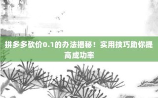拼多多砍价0.1的办法揭秘！实用技巧助你提高成功率