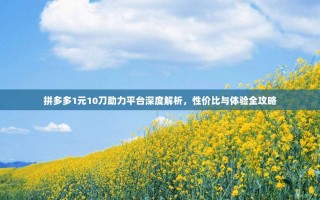 拼多多1元10刀助力平台深度解析，性价比与体验全攻略