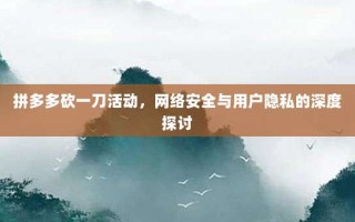 拼多多砍一刀活动，网络安全与用户隐私的深度探讨