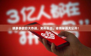 拼多多砍价大作战，笑料百出，省钱秘籍大公开！