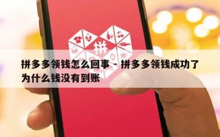 拼多多领钱怎么回事 - 拼多多领钱成功了为什么钱没有到账