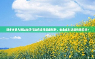 拼多多助力网站微信付款真实性深度解析，安全支付还是诈骗陷阱？