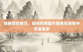 揭秘砍价技巧，如何利用图片策略在购物中节省更多