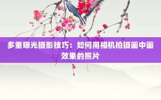 多重曝光摄影技巧：如何用相机拍摄画中画效果的照片
