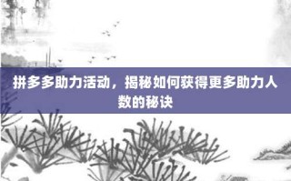 拼多多助力活动，揭秘如何获得更多助力人数的秘诀