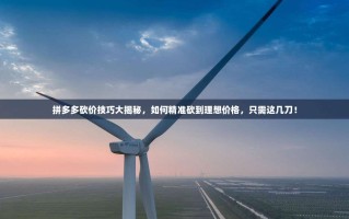 拼多多砍价技巧大揭秘，如何精准砍到理想价格，只需这几刀！