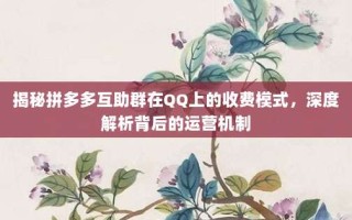 揭秘拼多多互助群在QQ上的收费模式，深度解析背后的运营机制
