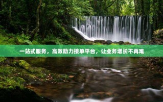 一站式服务，高效助力接单平台，让业务增长不再难