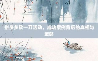 拼多多砍一刀活动，成功案例背后的真相与策略