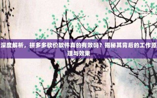 深度解析，拼多多砍价软件真的有效吗？揭秘其背后的工作原理与效果