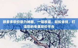 拼多多砍价助力神器，一键收藏，轻松省钱，打造您的专属砍价平台