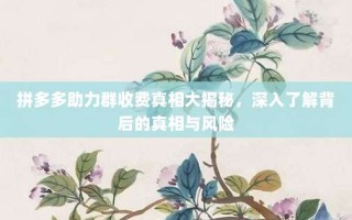 拼多多助力群收费真相大揭秘，深入了解背后的真相与风险