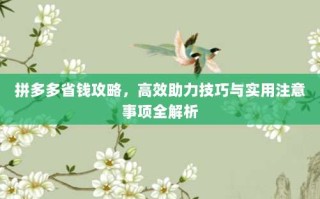 拼多多省钱攻略，高效助力技巧与实用注意事项全解析