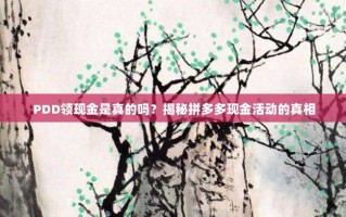 PDD领现金是真的吗？揭秘拼多多现金活动的真相