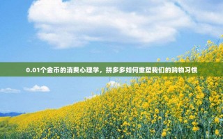 0.01个金币的消费心理学，拼多多如何重塑我们的购物习惯