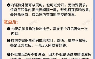 狗狗驱虫须知：一月龄开始，内外驱虫方式及注意事项