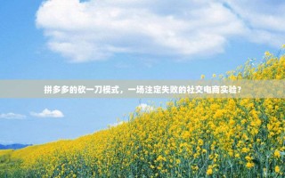 拼多多的砍一刀模式，一场注定失败的社交电商实验？