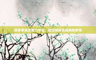 拼多多高效助力平台，助您轻松实现购物梦想